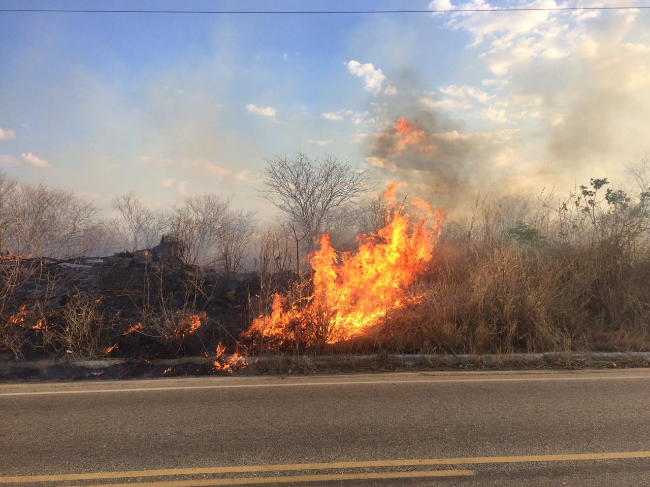 Incêndio registrado na PE 320 entre Afogados e Carnaíba, confira fotos e vídeo