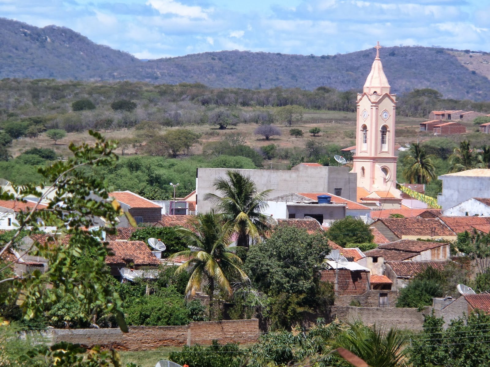 Agricultora comete suicídio na zona rural de Carnaíba