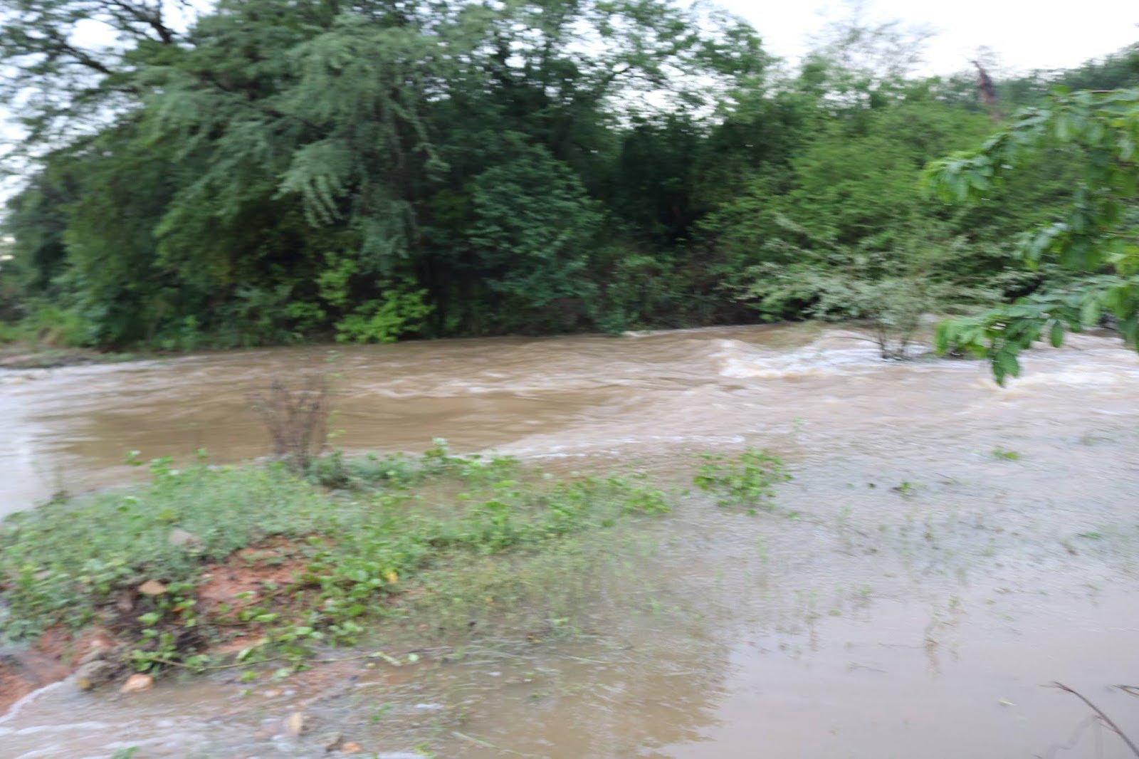 Rio Pajeú amanheceu com cheias no sítio Grossos, em SJE