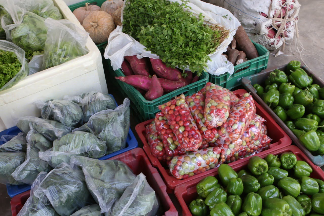 Agricultores de Afogados terão sua produção adquirida pela prefeitura