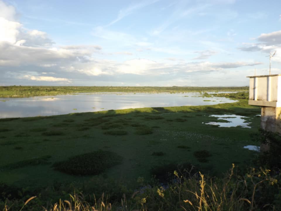 Barragem do Rosário recebe água, confira imagens
