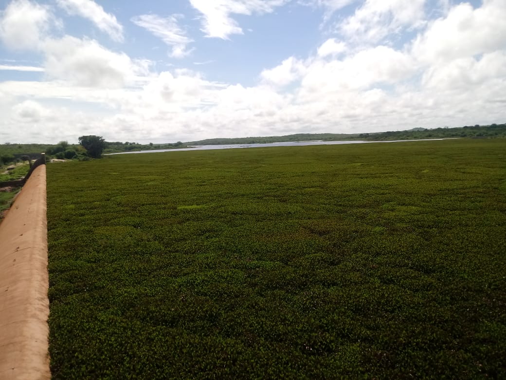 Barragem de Brotas próxima de sangrar, confira imagens