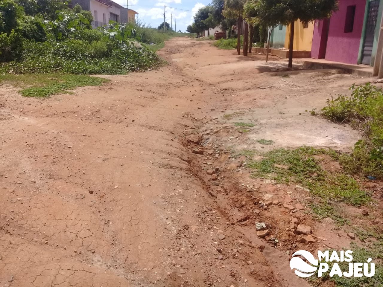 Mato, buracos e escuridão tomam contam de ruas no bairro São Borja, em São José do Egito