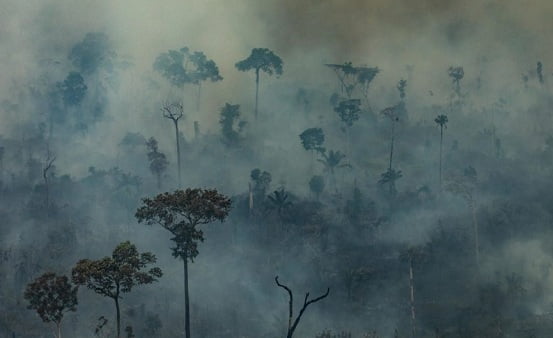 Governo proíbe queimadas por 60 dias em todo o país