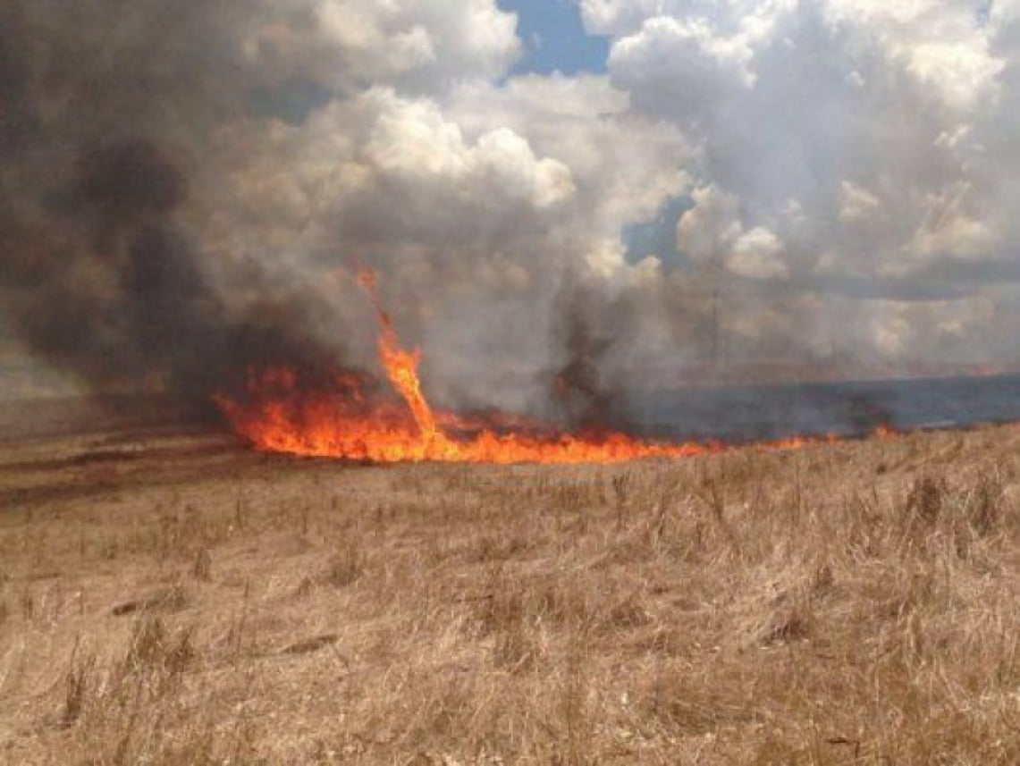 Incêndio nas proximidades do Povoado de Araras, em Tabira