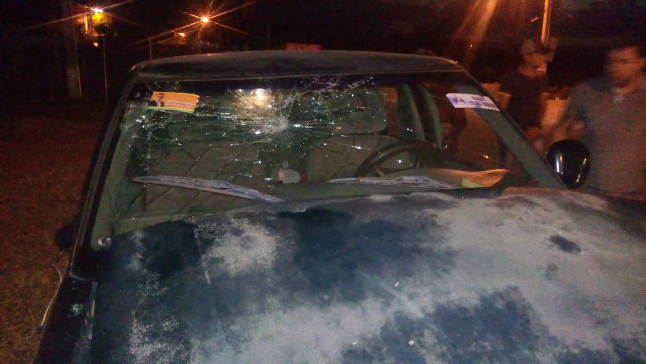 Veículo bate em animal na PE-320, em Tabira