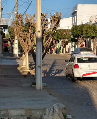 Poda de árvores em Iguaracy causa polêmica entre moradores