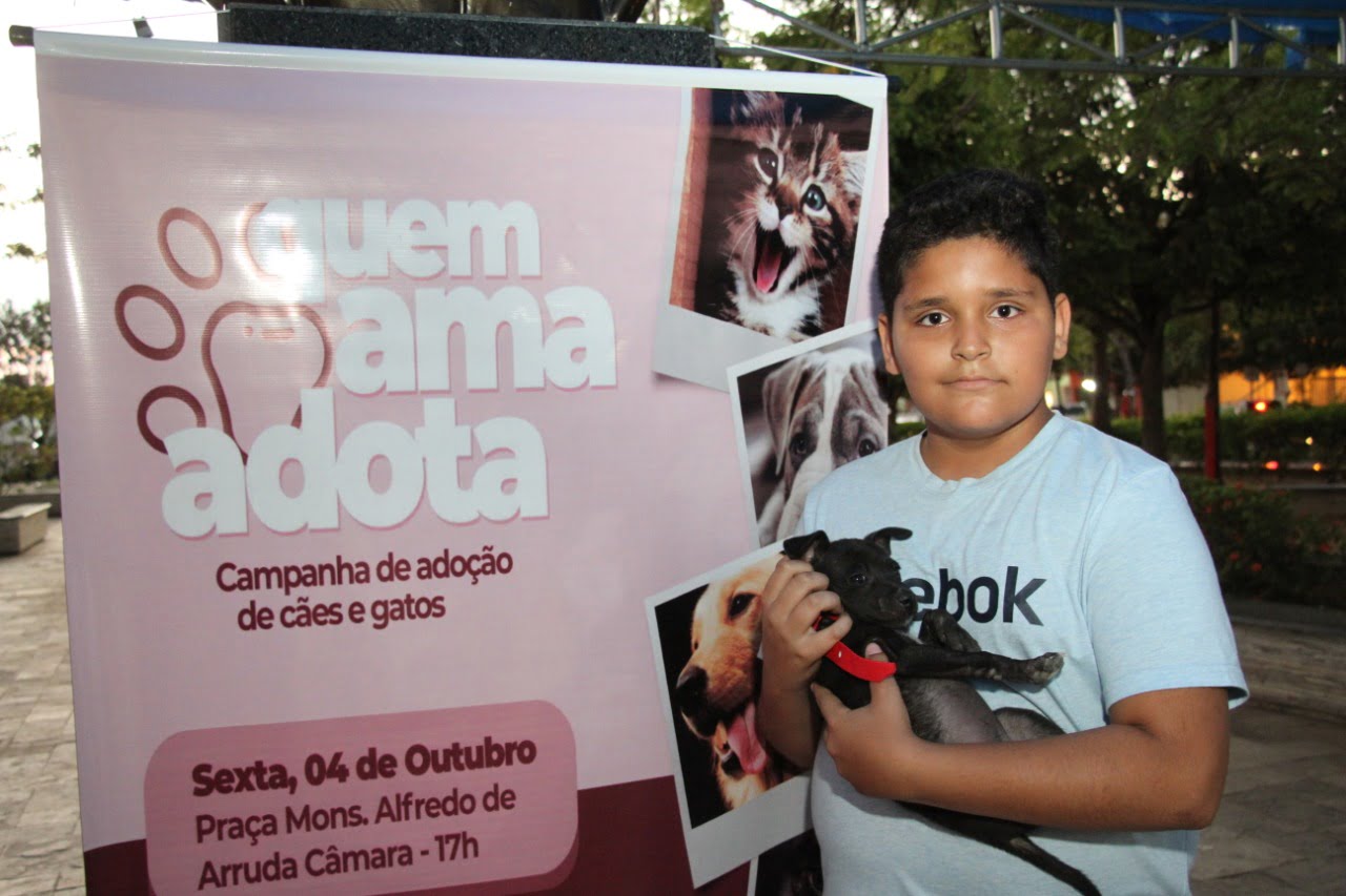 Campanha de adoção de cães e gatos continua em Afogados