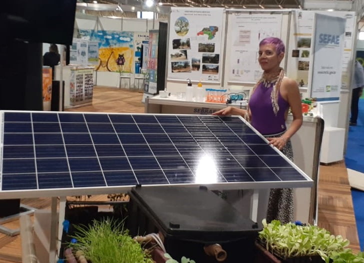 Caatinga tem potencial de faturar R$ 10 bi com energia e alimentos Ministério destaca produção bioeconômica de energia e alimento em PE