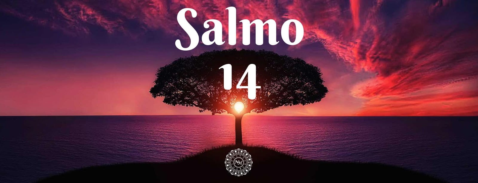 Palavra do Dia: Salmo 14