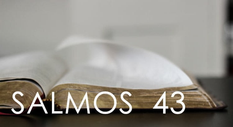 Salmo 43: atraia energias positivas e luz para sua vida