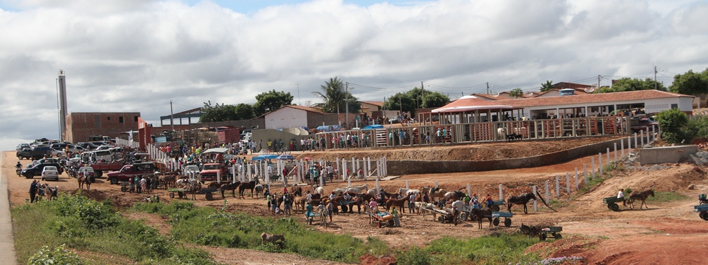 Feira de animais suspensa em Afogados