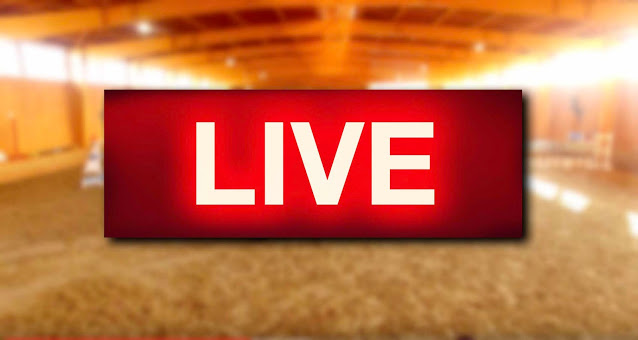 Confira as lives dos artistas de hoje, quarta, 13 de maio