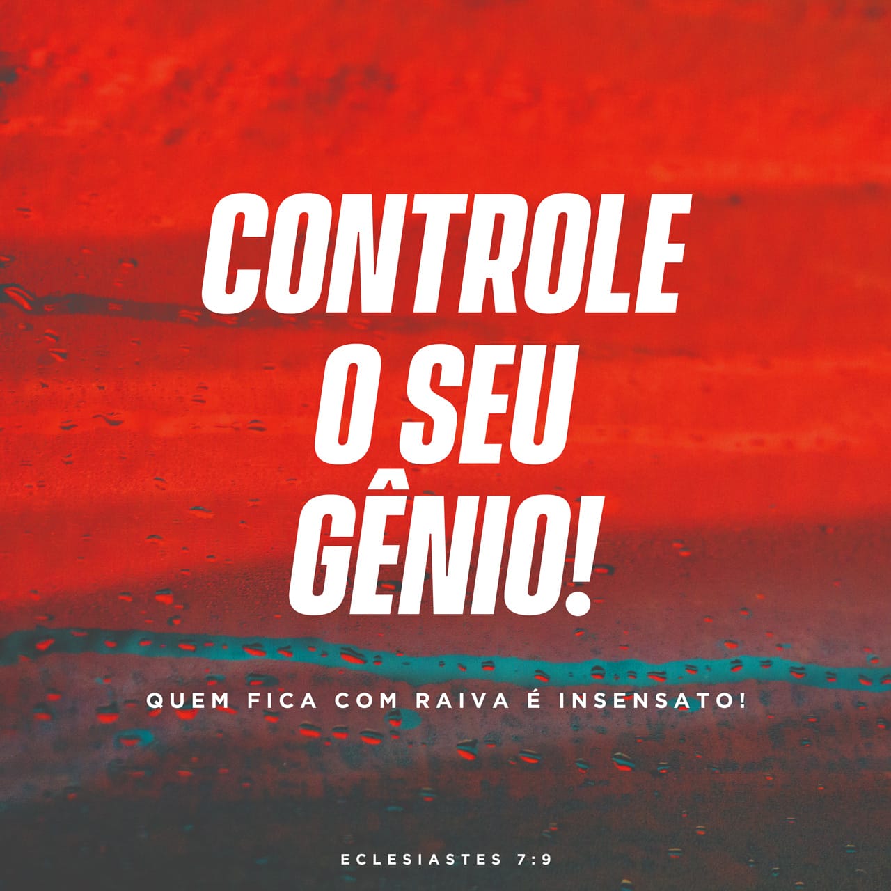 Eclesiastes 7: não te apresses no teu espírito a irar-te, porque a ira repousa no íntimo dos tolos