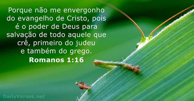 Palavra do Dia: Porque não me envergonho do evangelho de Cristo…