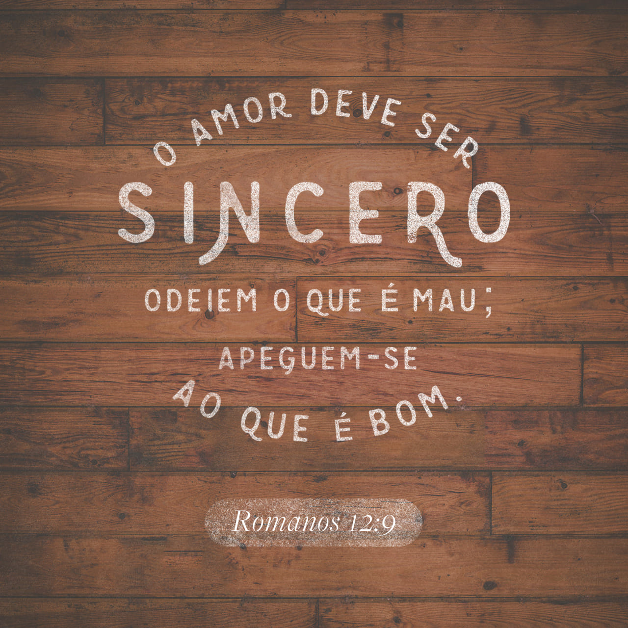 Palavra do Dia: O amor deve ser sincero. Odeiem o que é mau; apeguem-se ao que é bom