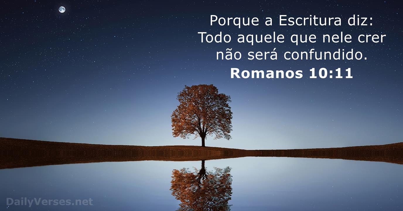 Palavra do Dia: porque a escritura diz: todo aquele que Nele crer não será confundido