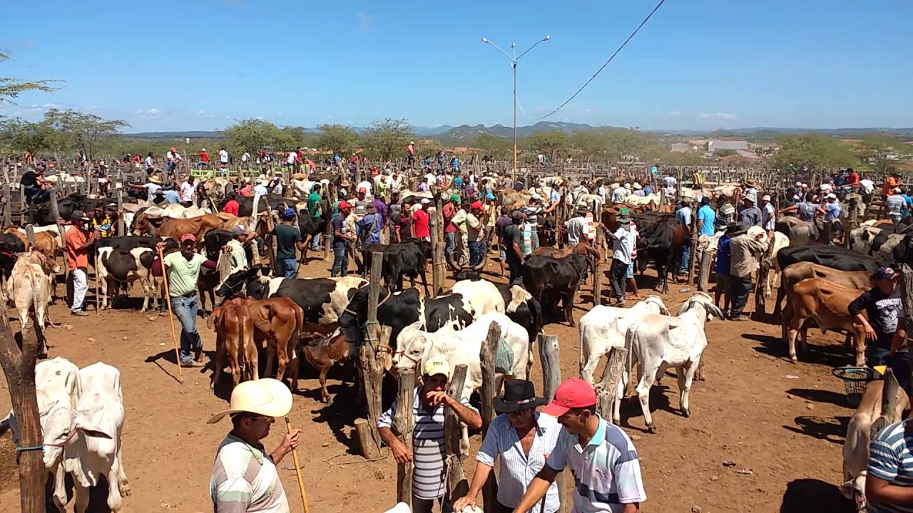 Volta da Feira do Gado de Tabira será definida em reunião amanhã