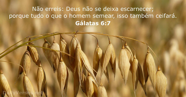 Palavra do Dia: não erreis: Deus não se deixa escarnecer; porque tudo o que o homem semear, isso também ceifará