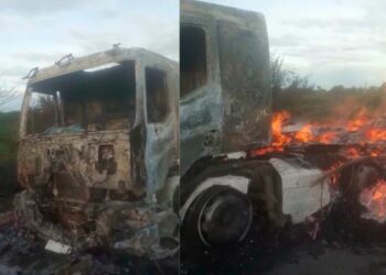 Pajeuzeiro que perdeu caminhão em incêndio pede ajuda para recuperar prejuízo avaliado em R$ 350.000,00