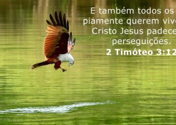 Palavra do Dia: todos os que querem viver em Cristo Jesus padecerão perseguições