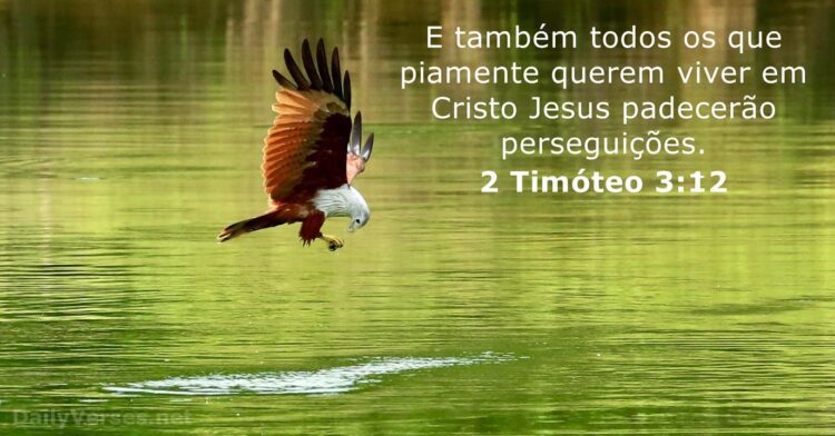 PALAVRA DO DIA: e também todos os que piamente querem viver em Cristo Jesus padecerão perseguições