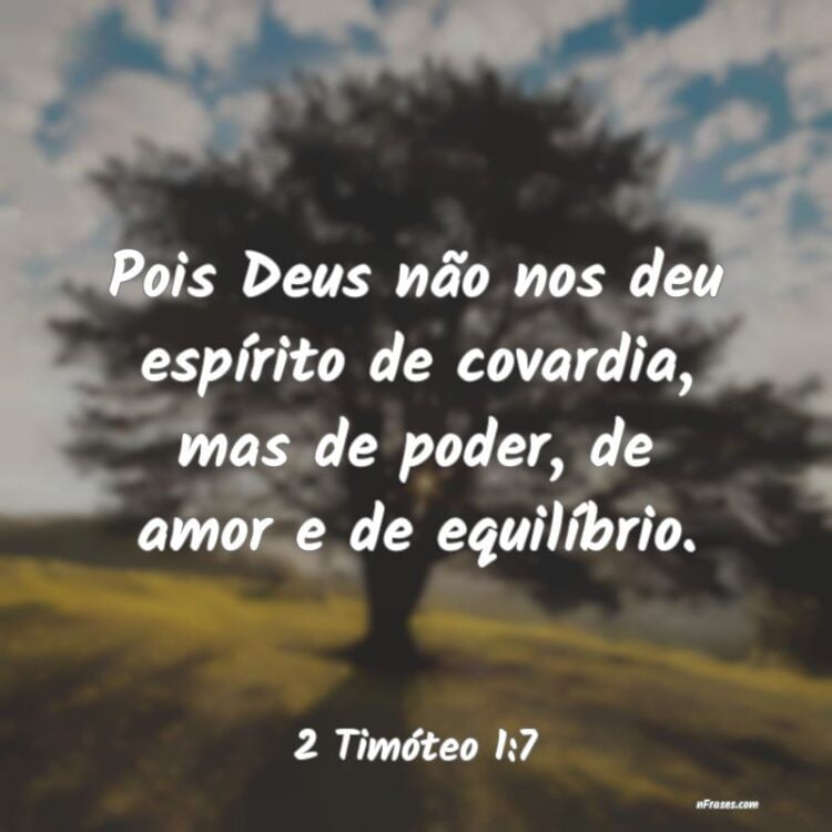 Palavra do Dia: pois Deus não nos deu espírito de covardia, mas de poder, de amor e de equilíbrio