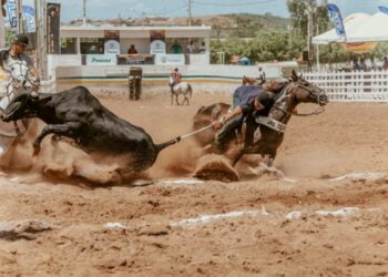 Feiras agropecuárias e vaquejadas estão liberadas em Pernambuco