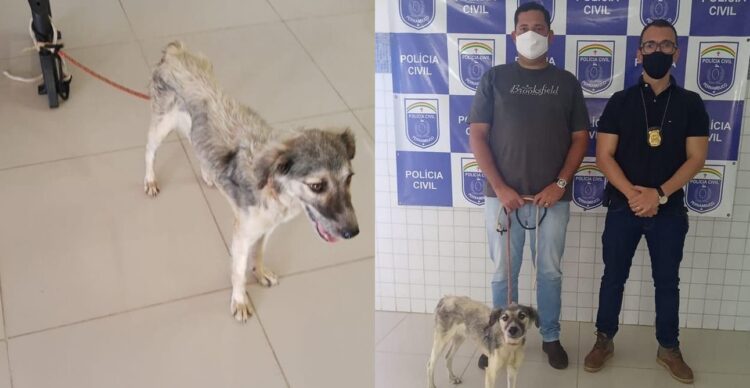 Afogados: polícia resgata cachorro que sofria maus tratos e conduz dona a delegacia