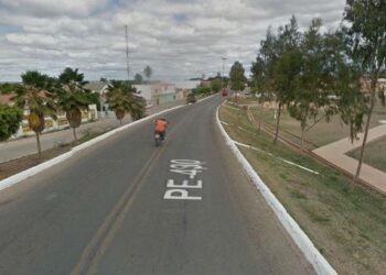 Cobra encontrada dentro de guarda-roupa em São José do Belmonte