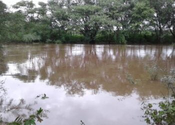 IMAGEM DO DIA: Rio Pajeú na zona rural de São José do Egito