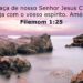 Palavra do Dia: a graça do nosso Senhor Jesus Cristo seja com o vosso espírito