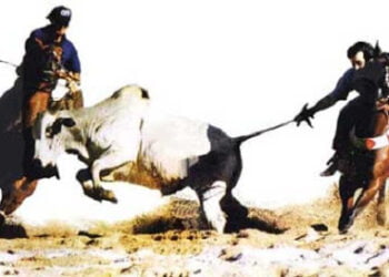 Geraldo Júlio barra feiras agropecuárias e vaquejadas