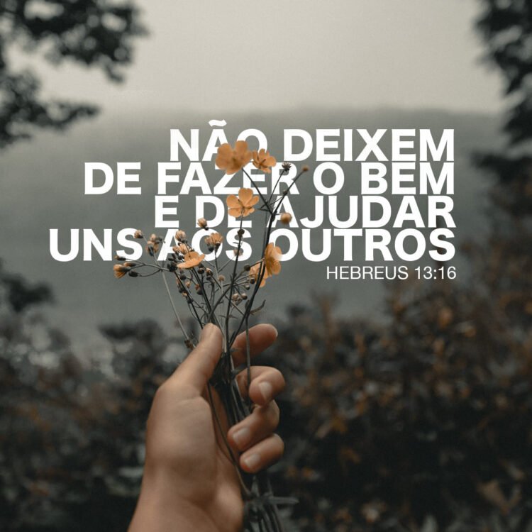 Palavra do Dia: não deixem de fazer o bem e de ajudar uns aos outros