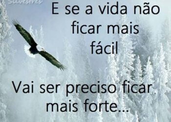 Palavra do Dia: dificuldades revelam se há fé