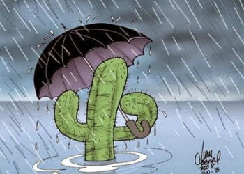 Confira quanto choveu em cada cidade do Pajeú neste domingo (02)