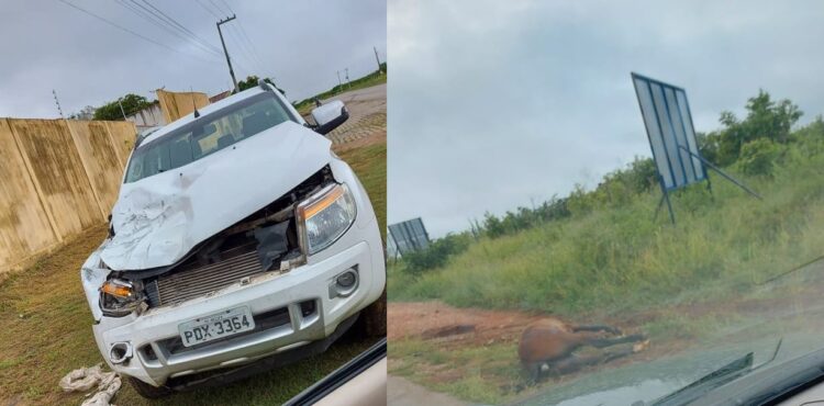 Animal na pista provoca acidente em São José do Egito