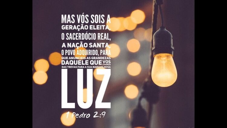 Palavra do Dia: mas vós sois a  geração eleita