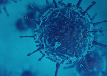 Maranhão confirma primeiros casos da variante indiana do coronavírus no Brasil