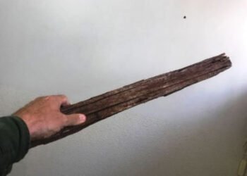Em Afogados, homem espanca mulher com pedaço de madeira