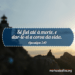 Palavra do Dia: sê fiel até a morte, e dar-te-ei a coroa da vida
