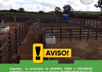 Prefeitura de Brejinho comunica que a volta da feira do gado acontecerá dia 16 de julho