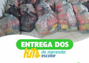 Brejinho realiza entrega da segunda remessa da merenda escolar