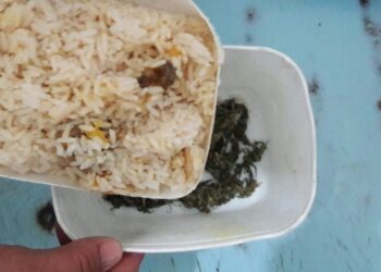 Mulher flagrada com marmita com fundo falso com maconha tentando entrar na cadeia de SJE