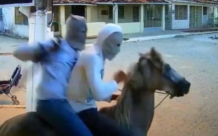 Dois bandidos em um cavalo roubam bicicleta em Arcoverde