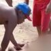 Homem morre após ser atacado por tubarão em Pernambuco