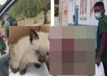 No Sertão de PE, indivíduo é preso pela PM por estuprar um Gato