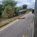 Caminhão colide com vacas e animais acabam mortos em acidente entre Afogados e Carnaíba