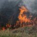 Incêndio atinge aproximadamente 200 m² de vegetação em São José do Egito
