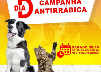 Sábado é o Dia D da Campanha Antirrábica em Carnaíba